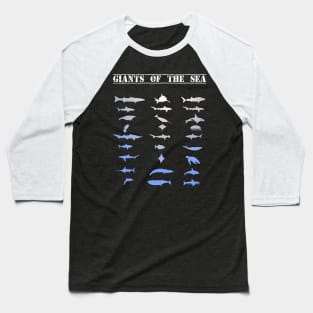 Giants of the sea shalk dolphin orca killer whale aquatic animals big turtle. Baseball T-Shirt